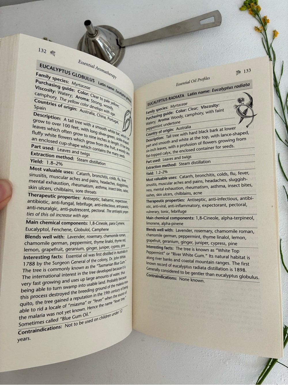 Essential Aromatherapy Pocket Guide — Cream Floral Cover - Picture 15 of 17
